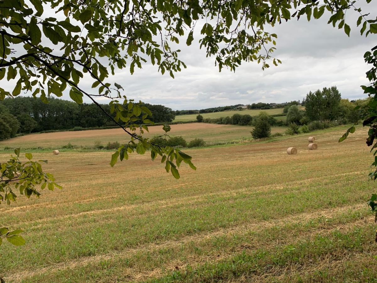 Le Logis De La Chouette Hotell Baugé Eksteriør bilde